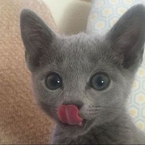 Meet your Posher, Mychal